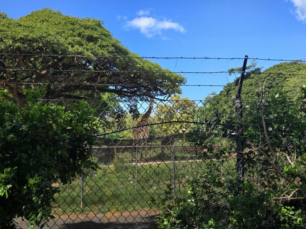 ワイキキからダイヤモンドヘッドを一周する約10kmのオススメのコースの写真7
