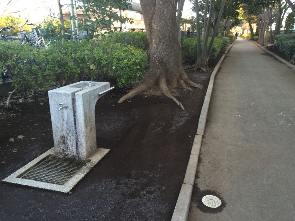 水と緑の玉川上水～緑地公園～東伏見公園の写真7