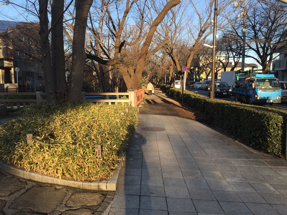 水と緑の玉川上水～緑地公園～東伏見公園の写真8