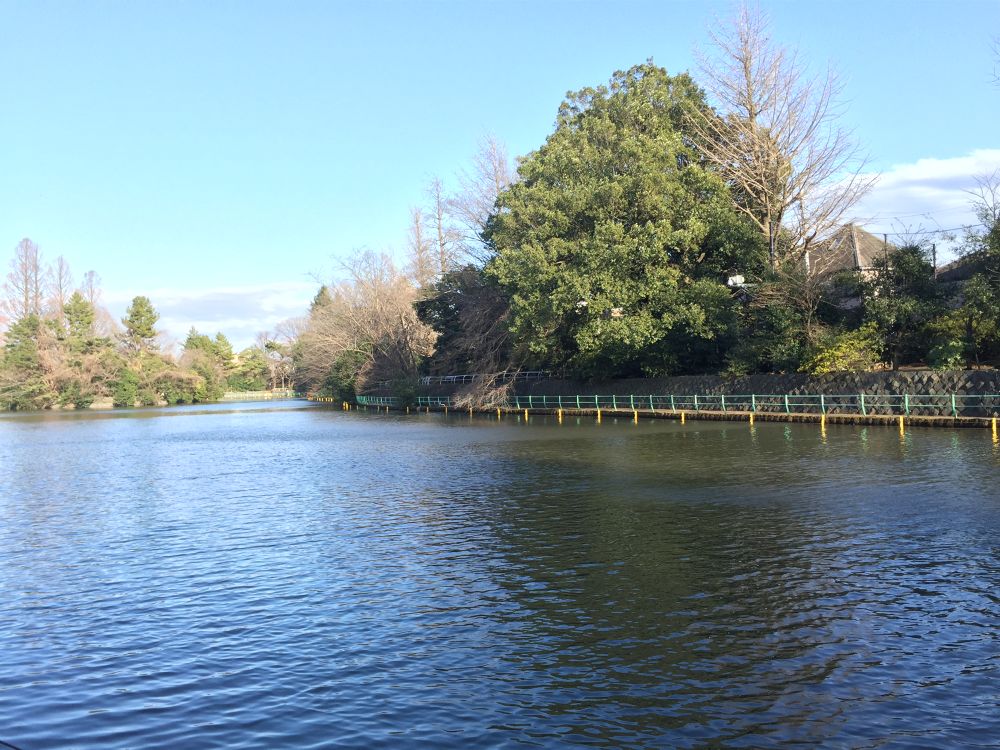 ぐるっと武蔵野公園巡りラントップの写真3