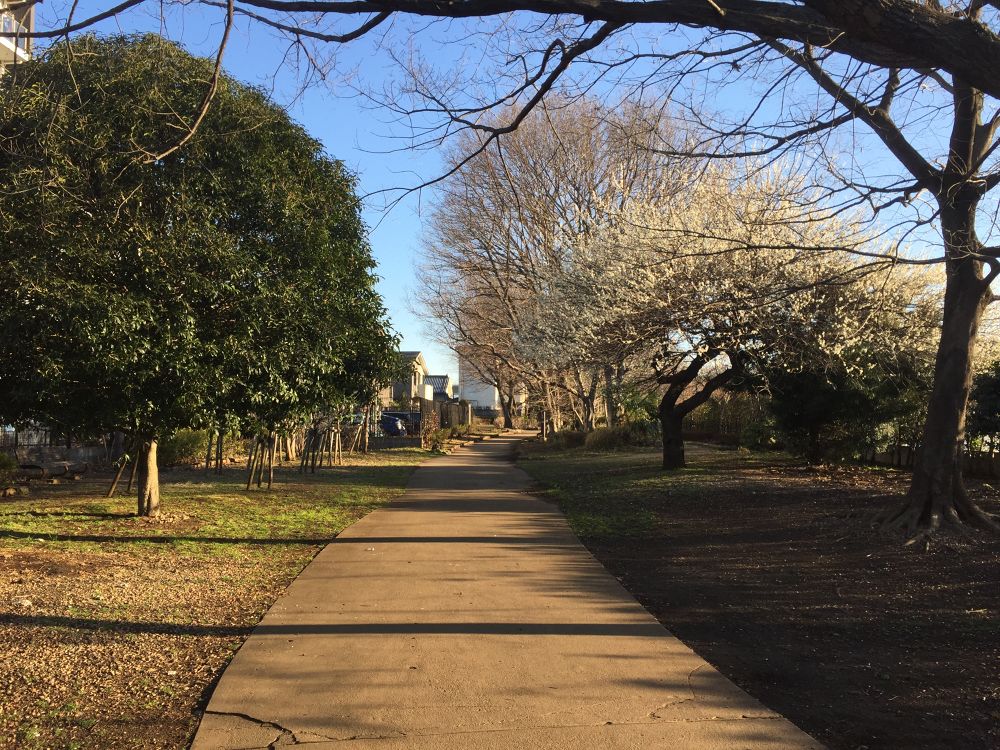 ぐるっと武蔵野公園巡りラントップの写真7