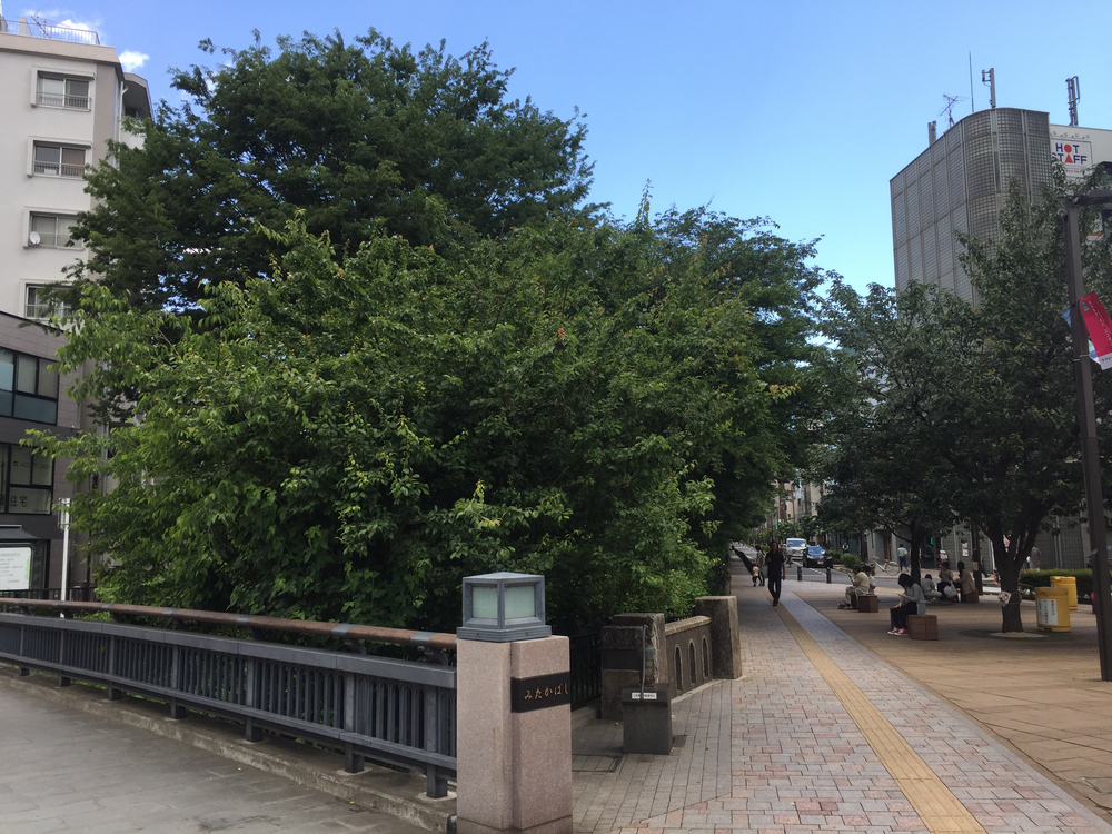 Tamagawa Aqueduct 玉川上水クロカンの写真4