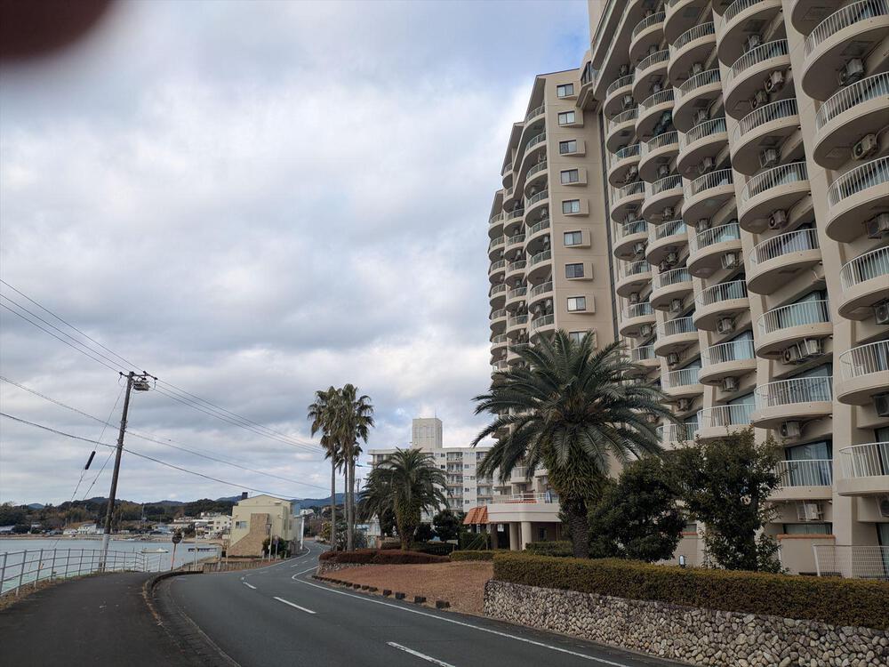 【冬限定】ユリカモメに会う浜名湖ランニング_第１弾!!の写真5