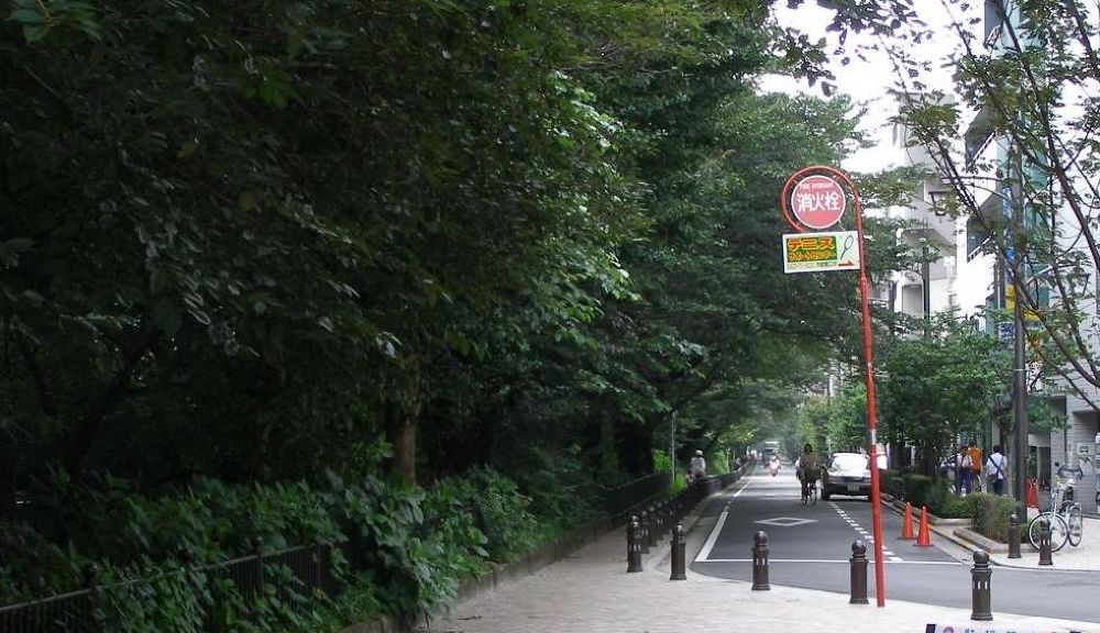 三鷹駅→風の散歩道→井の頭公園全域の写真3