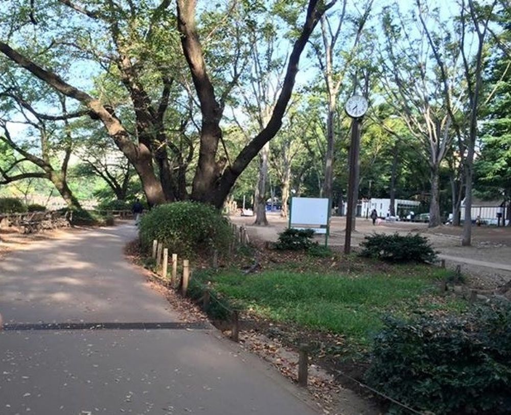 三鷹駅→風の散歩道→井の頭公園全域の写真7