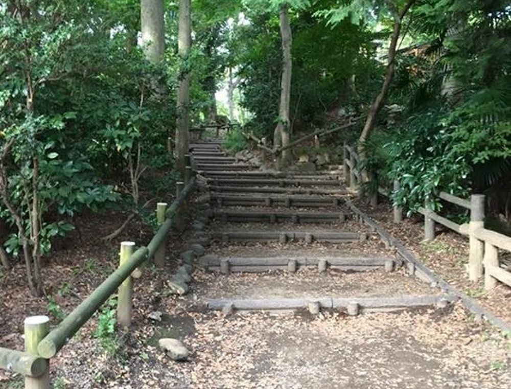 三鷹駅→風の散歩道→井の頭公園全域の写真8