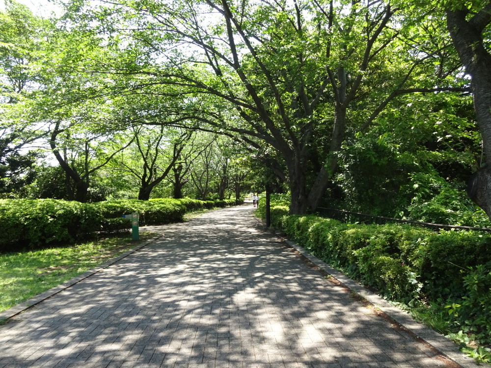 港町横浜と緑を求めての写真3