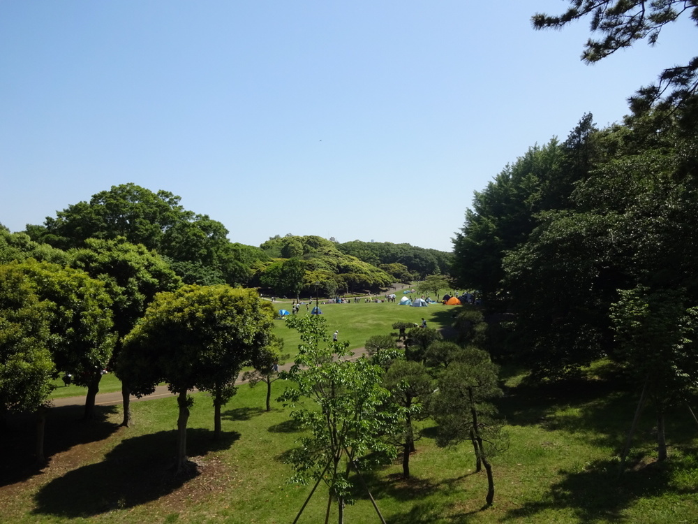 港町横浜と緑を求めての写真4