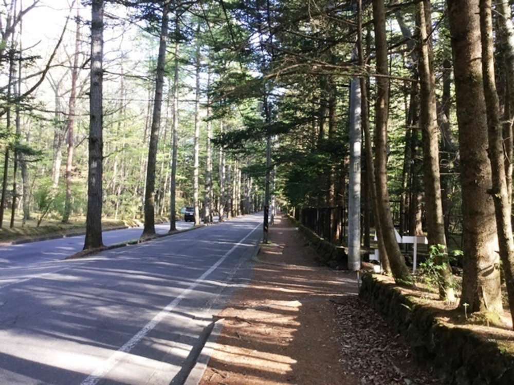 軽井沢の典型的な別荘地域を走るの写真8