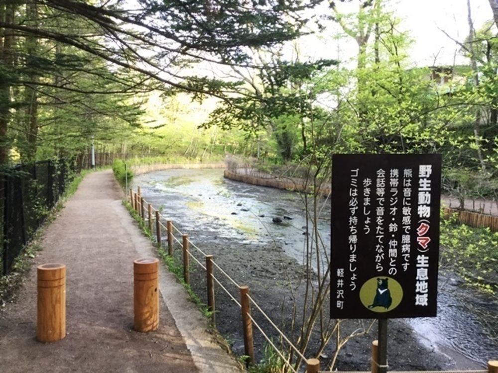 軽井沢の典型的な別荘地域を走るの写真10