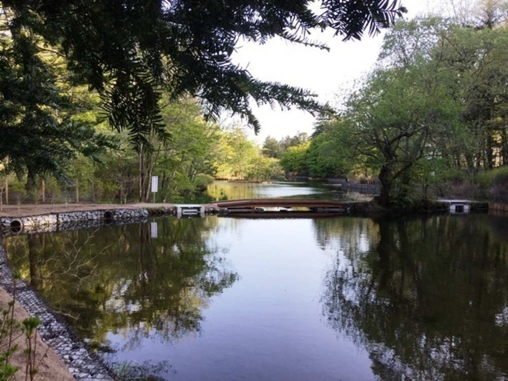 軽井沢の典型的な別荘地域を走るの写真11