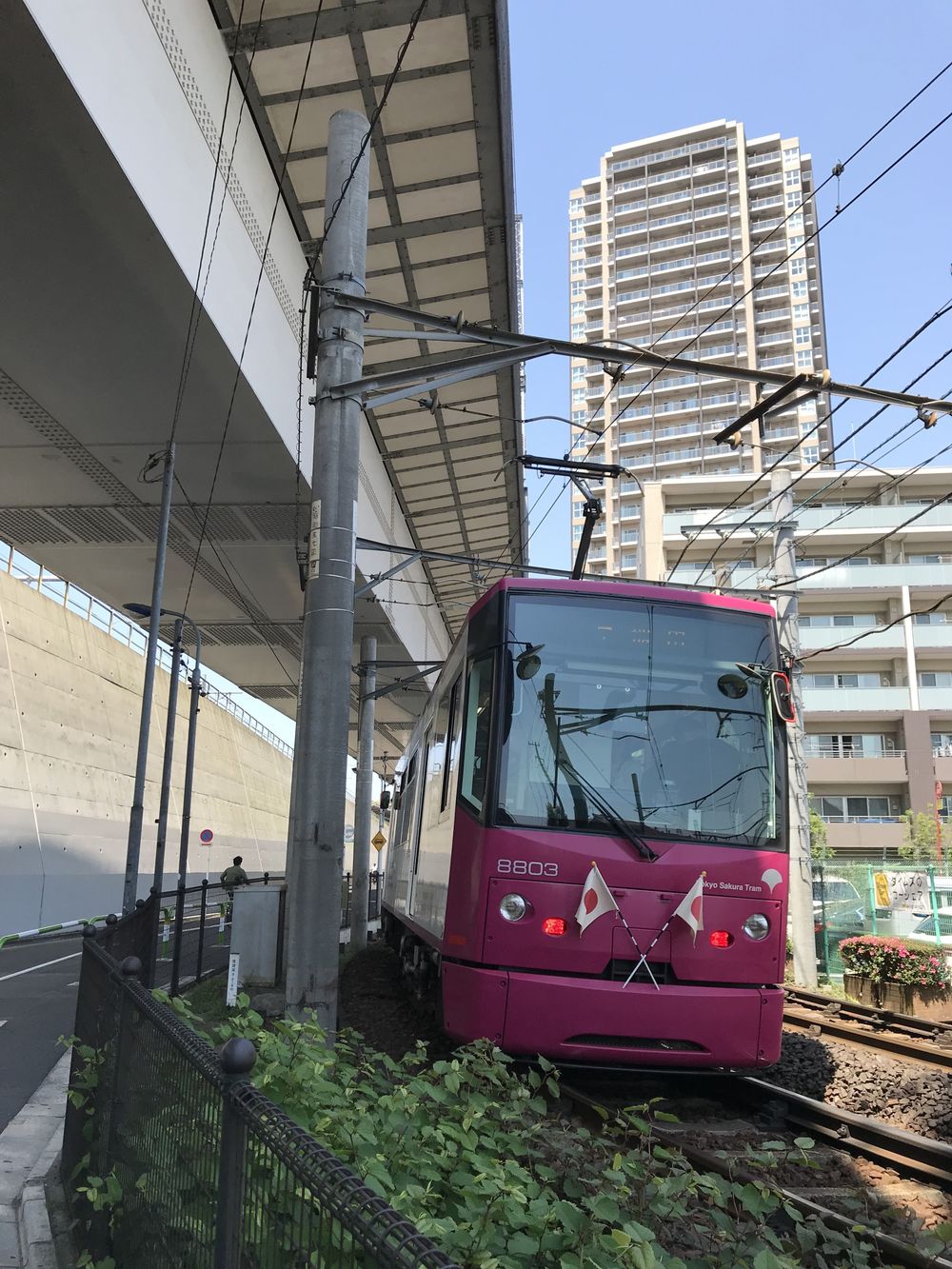 ゆるっと都電荒川線よくばりＲＵＮの写真4