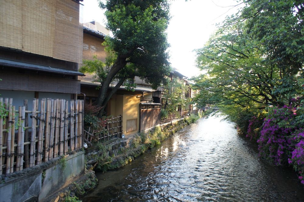 祇園・鴨川満喫コースの写真3