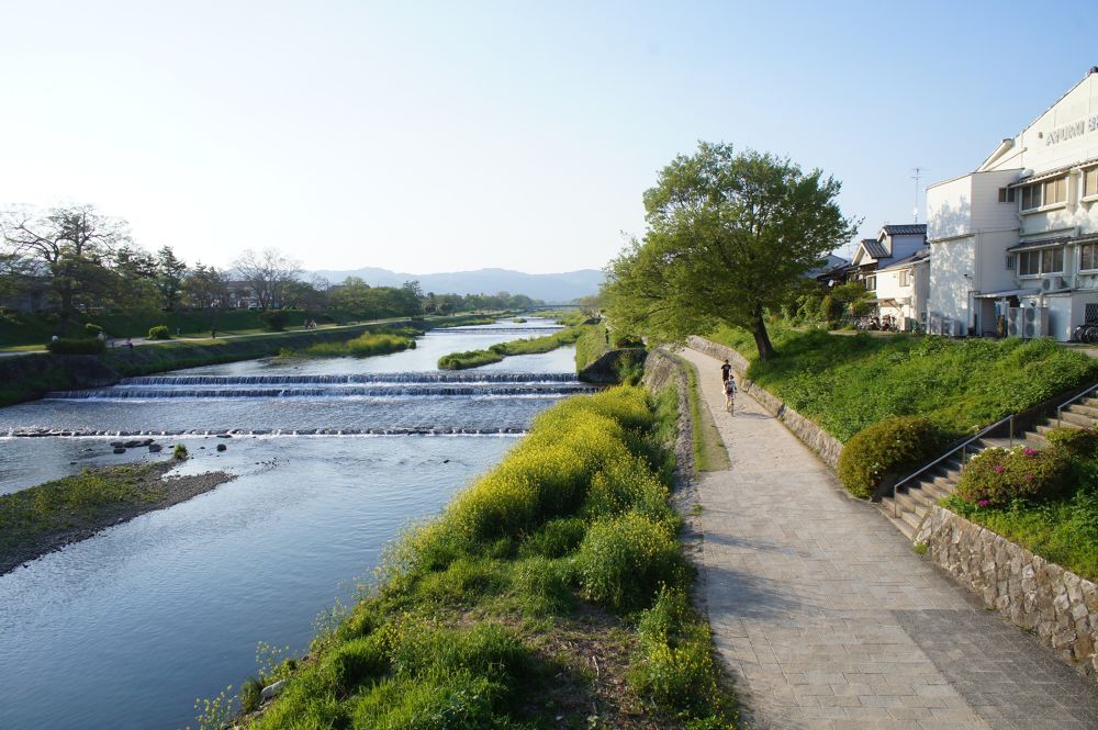 祇園・鴨川満喫コースの写真5