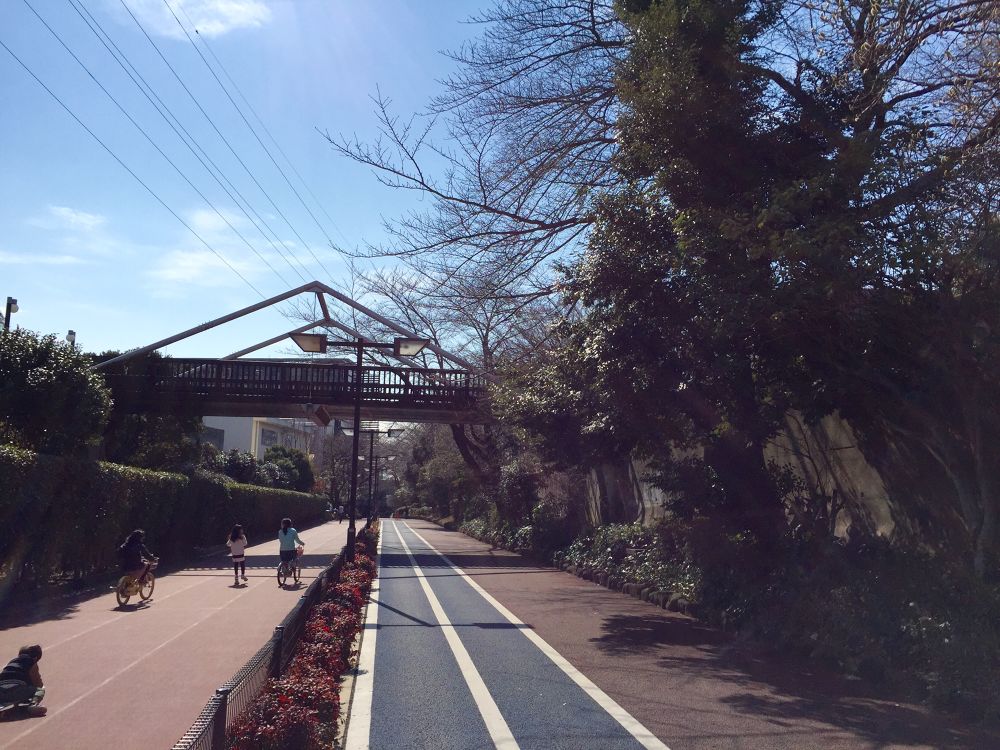 駒沢公園から飛び出そう！東工大横・遊歩道トラック【往復6km】の写真3