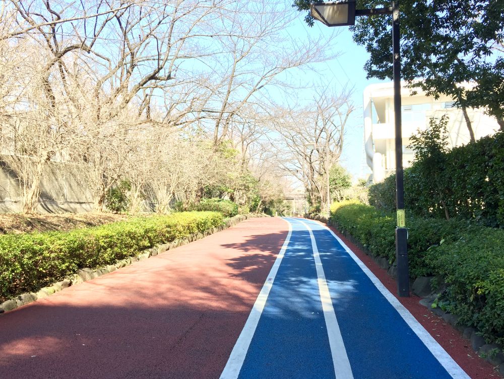 駒沢公園から飛び出そう！東工大横・遊歩道トラック【往復6km】の写真4