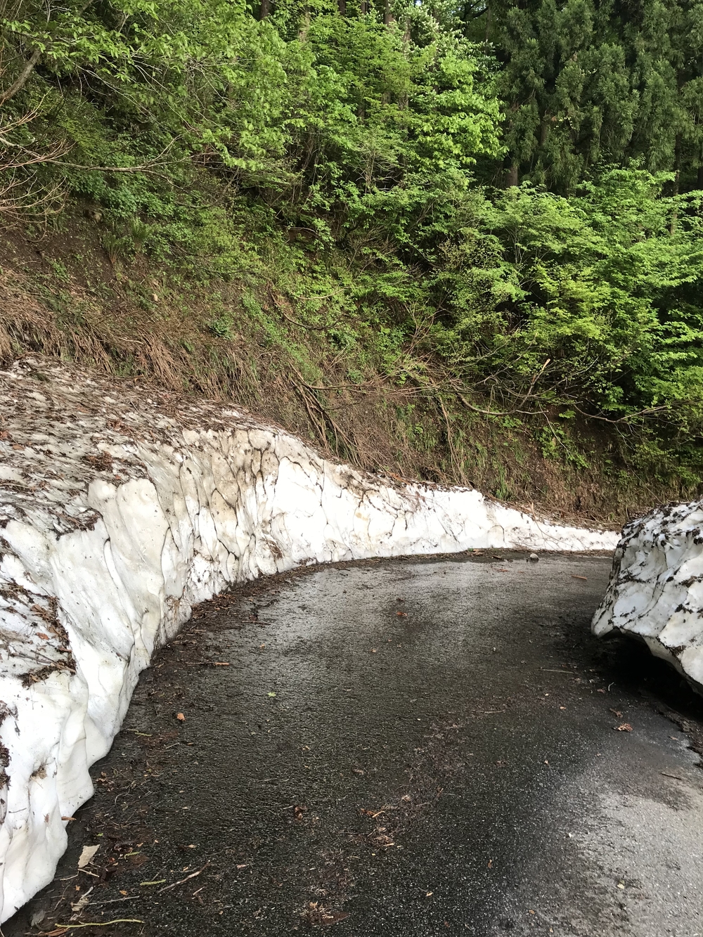 宇奈月温泉早朝ヒルクライムの写真3