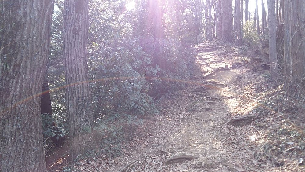 城山湖（南高尾）周遊トレイル5Kの写真6