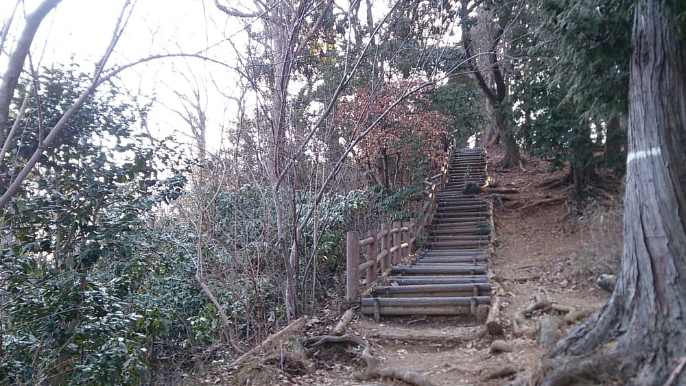 城山湖（南高尾）周遊トレイル5Kの写真9