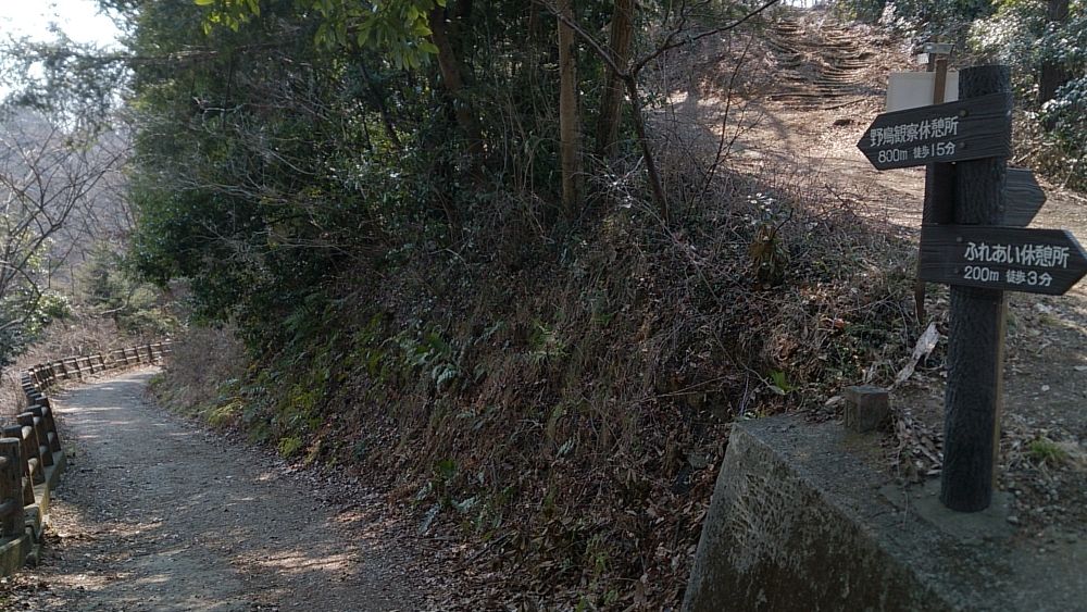 城山湖（南高尾）周遊トレイル5Kの写真10