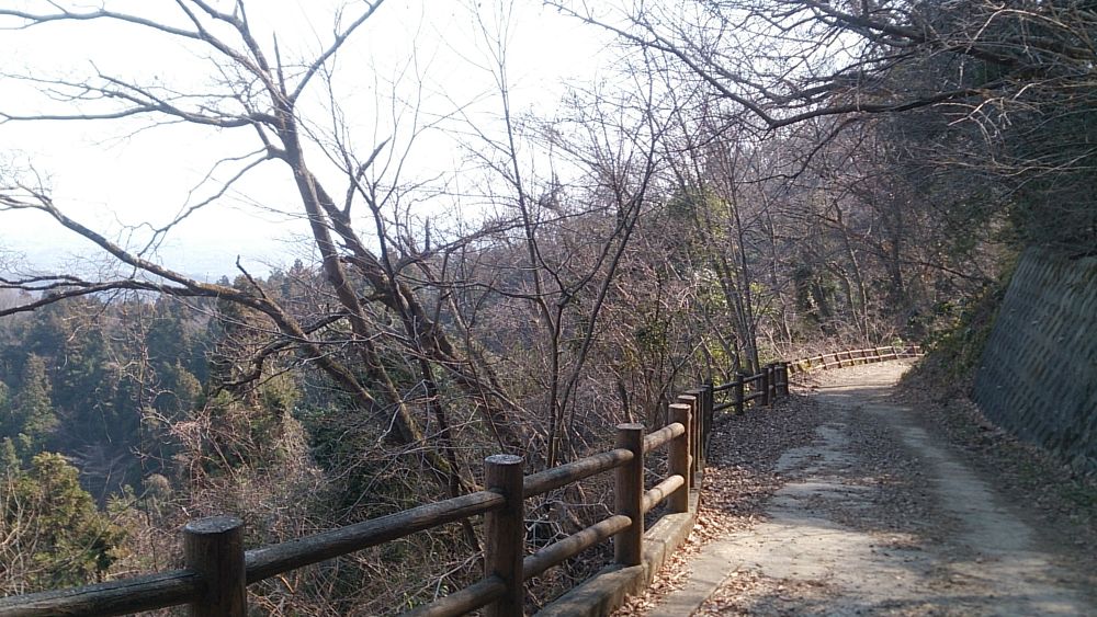 城山湖（南高尾）周遊トレイル5Kの写真11