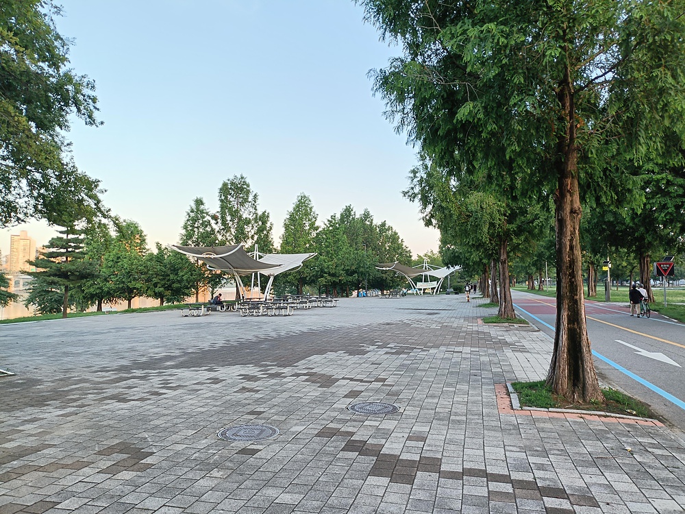 ソウル・トゥクソム漢江公園の写真3