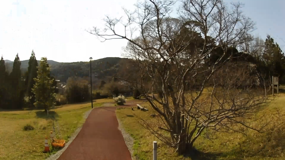 美肌しまね、神の湯「玉造温泉」桜並木をランニングの写真5