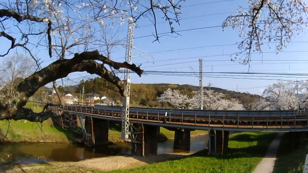 美肌しまね、神の湯「玉造温泉」桜並木をランニングの写真10