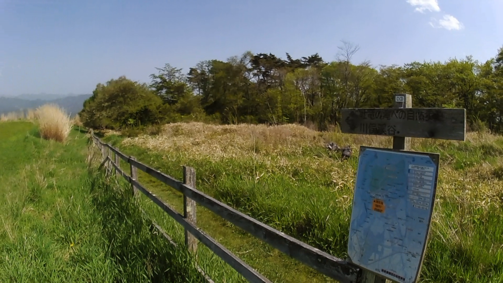 清里高原「清泉寮」周辺の自然歩道をランニング６キロの写真3