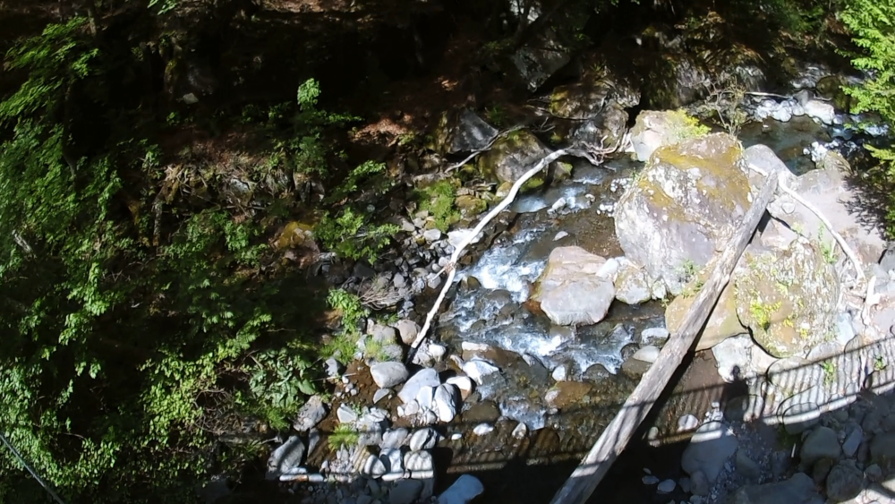 清里高原「清泉寮」周辺の自然歩道をランニング６キロの写真5