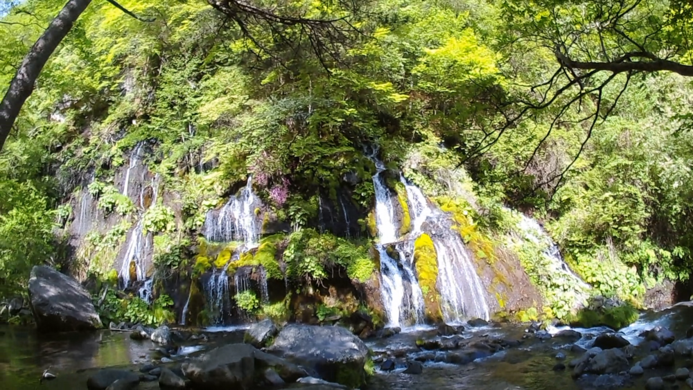 清里高原「清泉寮」周辺の自然歩道をランニング６キロの写真6