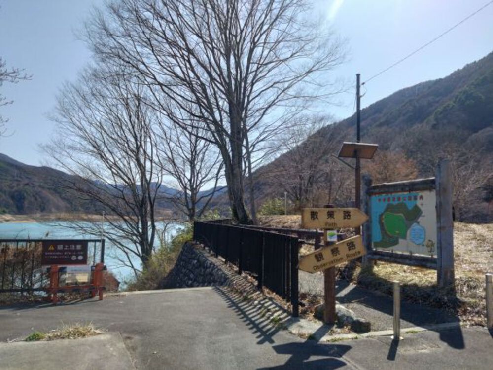 三峰川30km（自称：美和湖サーティー）の写真13