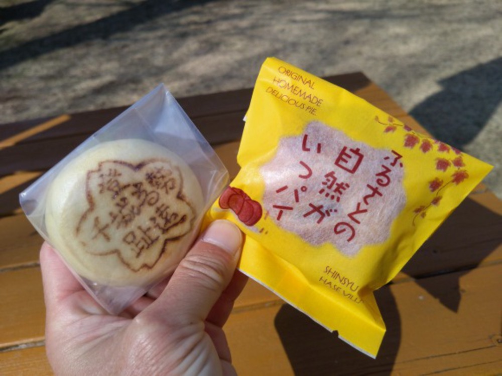 三峰川30km（自称：美和湖サーティー）の写真19