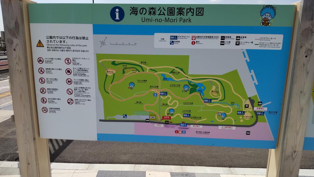 2025年春オープン　東京2020クロスカントリーコースを走る　海の森公園ランニングの写真4