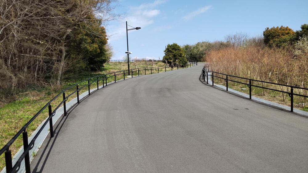 2025年春オープン　東京2020クロスカントリーコースを走る　海の森公園ランニングの写真5