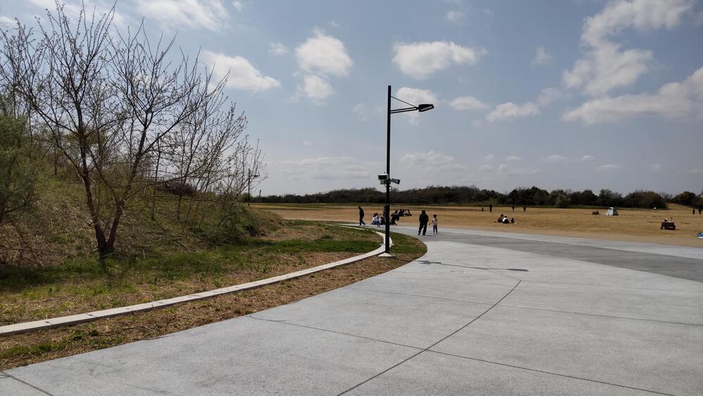 2025年春オープン　東京2020クロスカントリーコースを走る　海の森公園ランニングの写真7