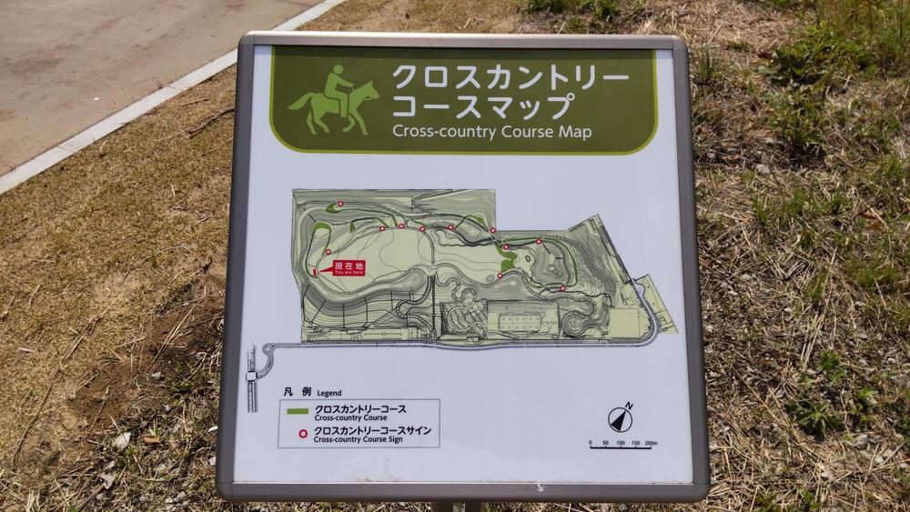 2025年春オープン　東京2020クロスカントリーコースを走る　海の森公園ランニングの写真8