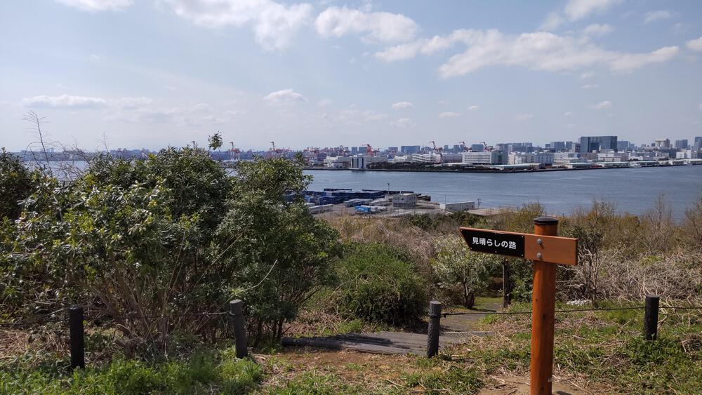 2025年春オープン　東京2020クロスカントリーコースを走る　海の森公園ランニングの写真9