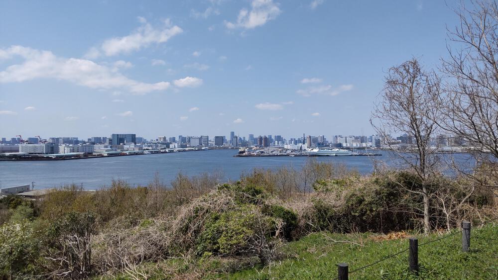 2025年春オープン　東京2020クロスカントリーコースを走る　海の森公園ランニングの写真10