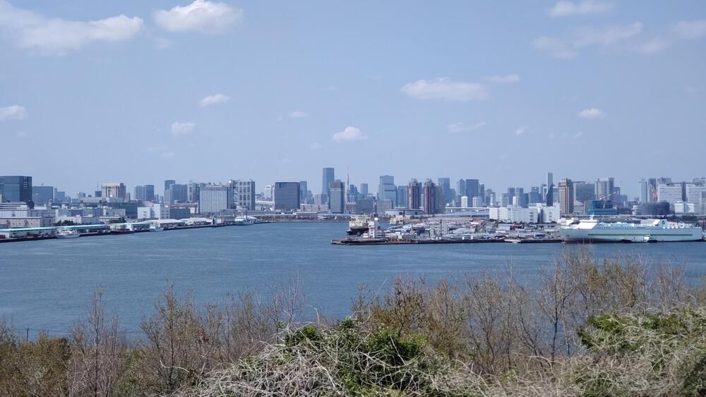 2025年春オープン　東京2020クロスカントリーコースを走る　海の森公園ランニングの写真11