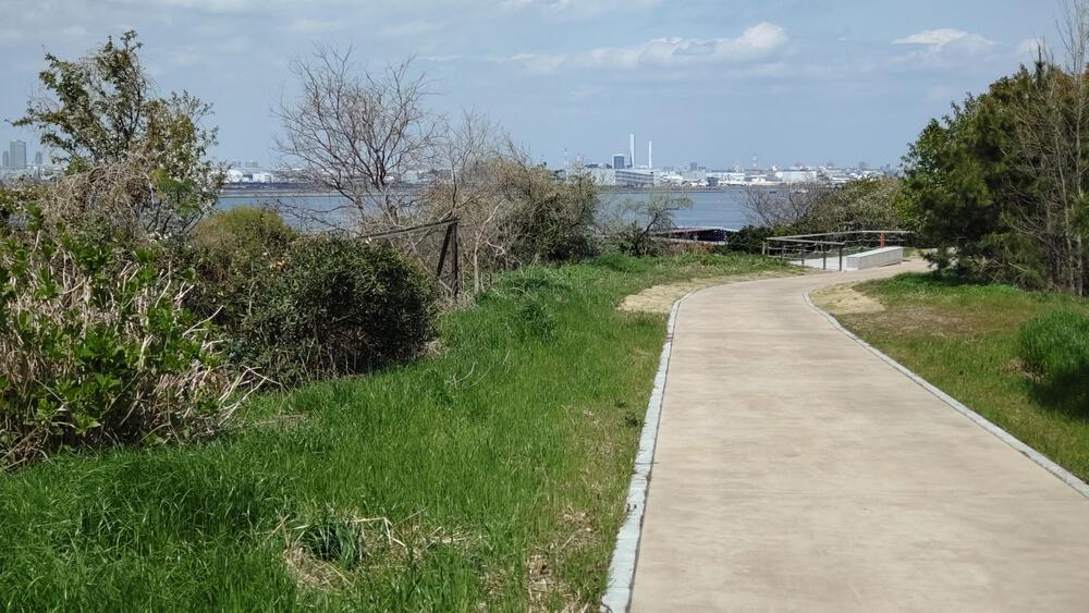 2025年春オープン　東京2020クロスカントリーコースを走る　海の森公園ランニングの写真12