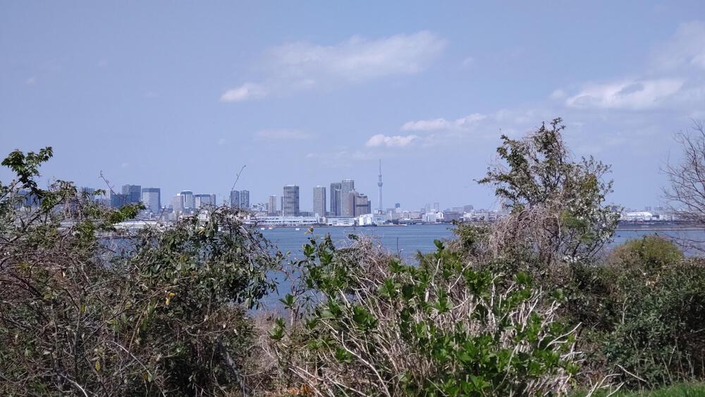 2025年春オープン　東京2020クロスカントリーコースを走る　海の森公園ランニングの写真13