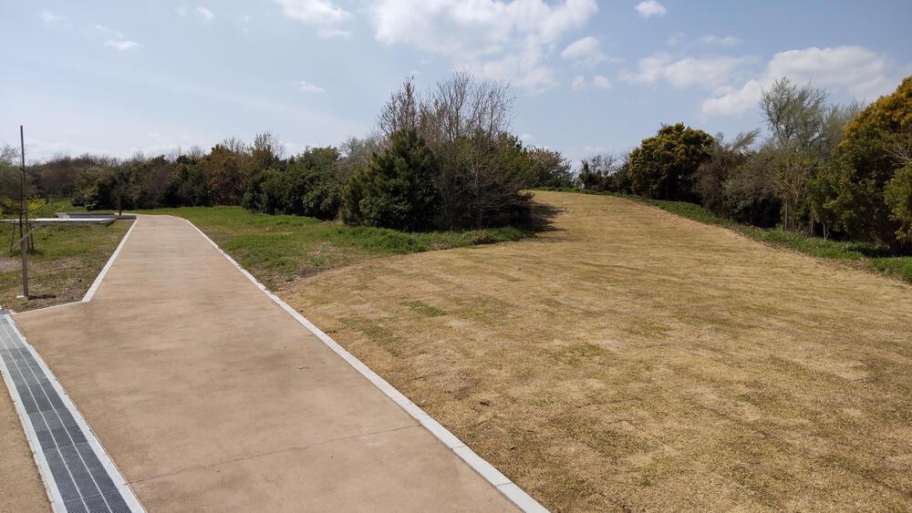 2025年春オープン　東京2020クロスカントリーコースを走る　海の森公園ランニングの写真14