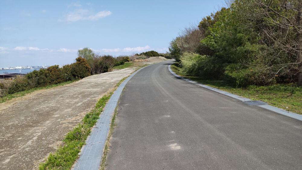 2025年春オープン　東京2020クロスカントリーコースを走る　海の森公園ランニングの写真15