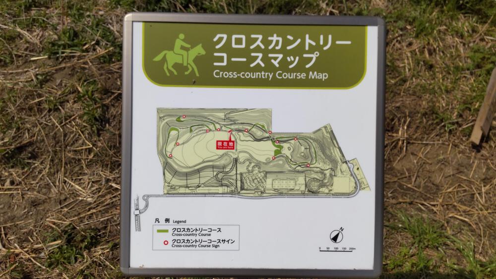 2025年春オープン　東京2020クロスカントリーコースを走る　海の森公園ランニングの写真16