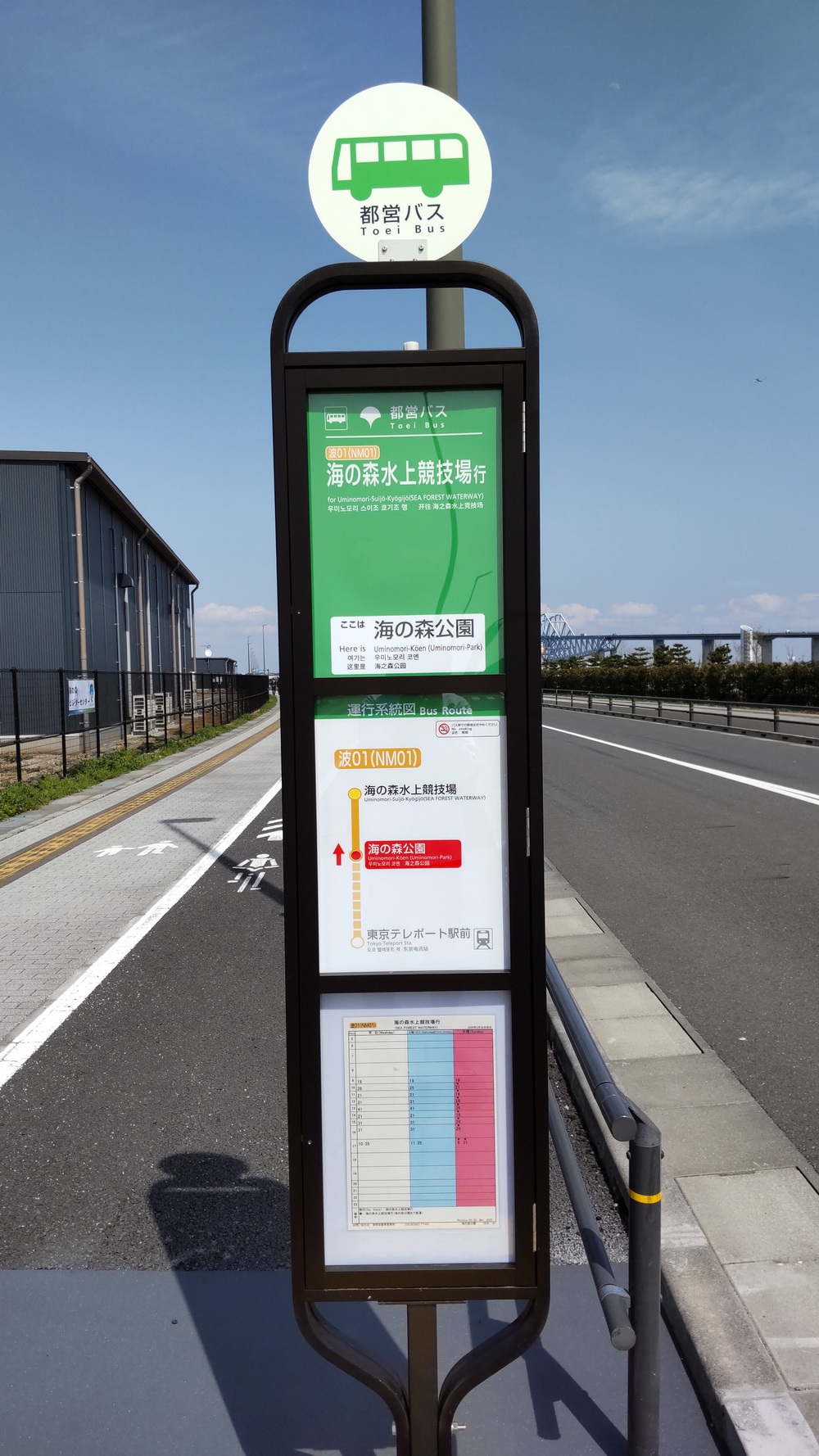 2025年春オープン　東京2020クロスカントリーコースを走る　海の森公園ランニングの写真21