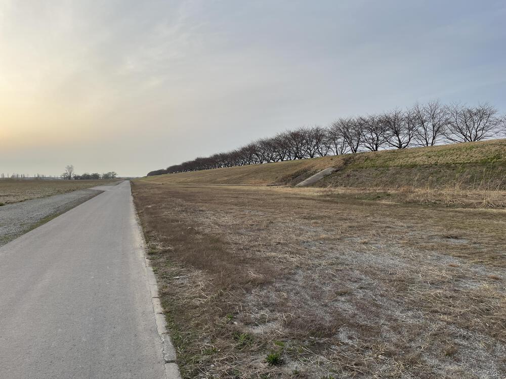 荒川とともに刻むランニングの軌跡の写真3