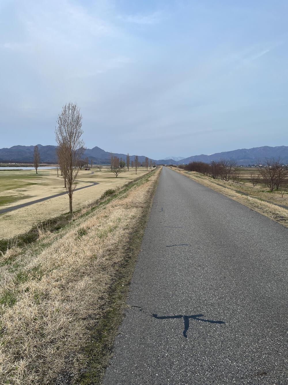 荒川とともに刻むランニングの軌跡の写真4