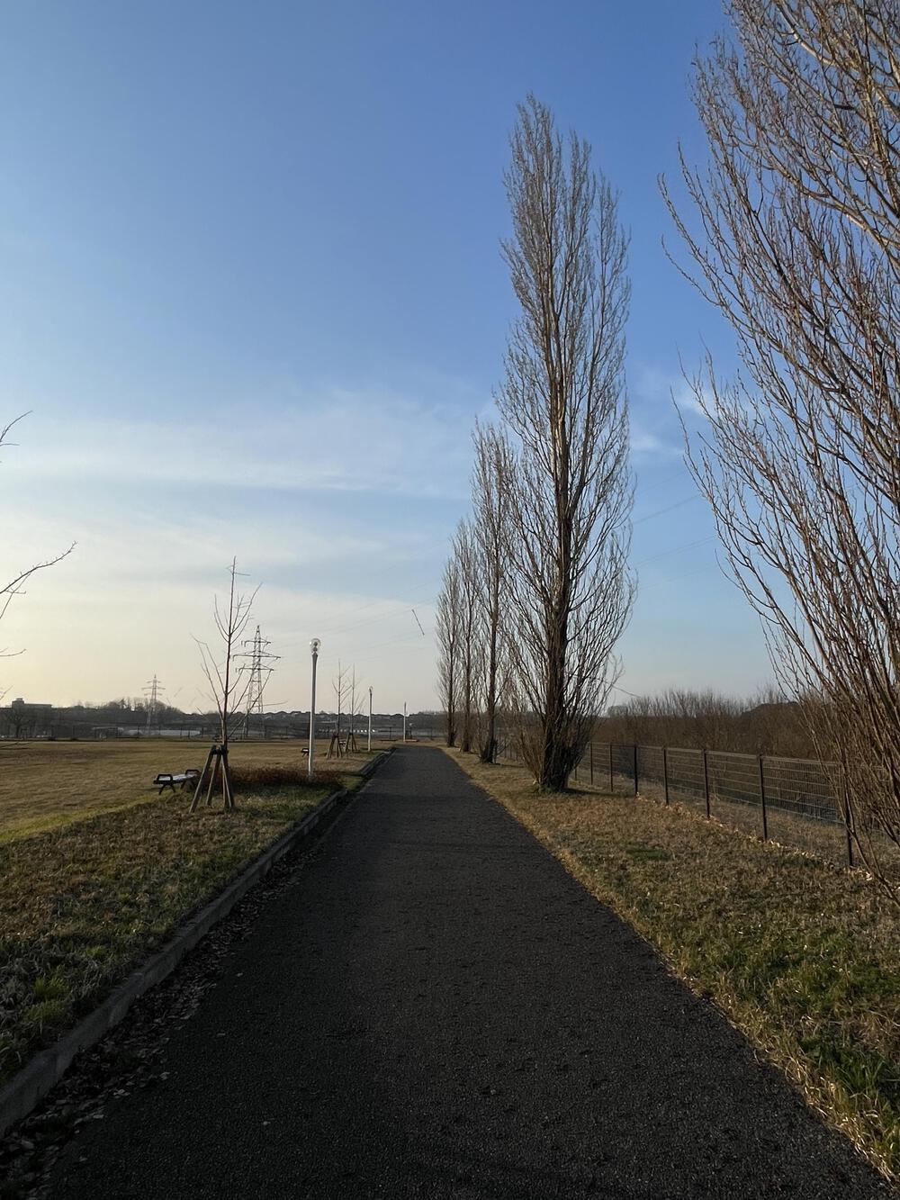 桜満開とともに歩む－新潟・太夫浜運動公園で走る14kmの写真3