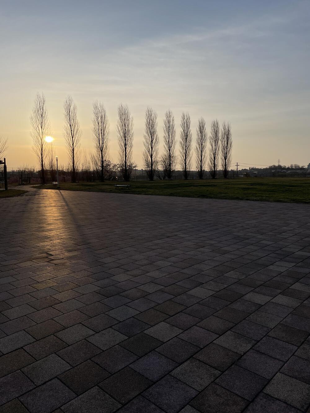 桜満開とともに歩む－新潟・太夫浜運動公園で走る14kmの写真4